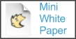 Dose of Digital Mini White Paper Dose of Digital Mini White Paper