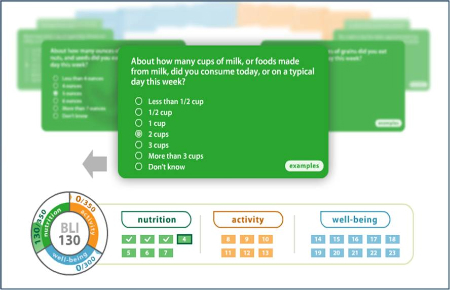 Start Making Choices Full BLI Survey Start Making Choices Full BLI Survey
